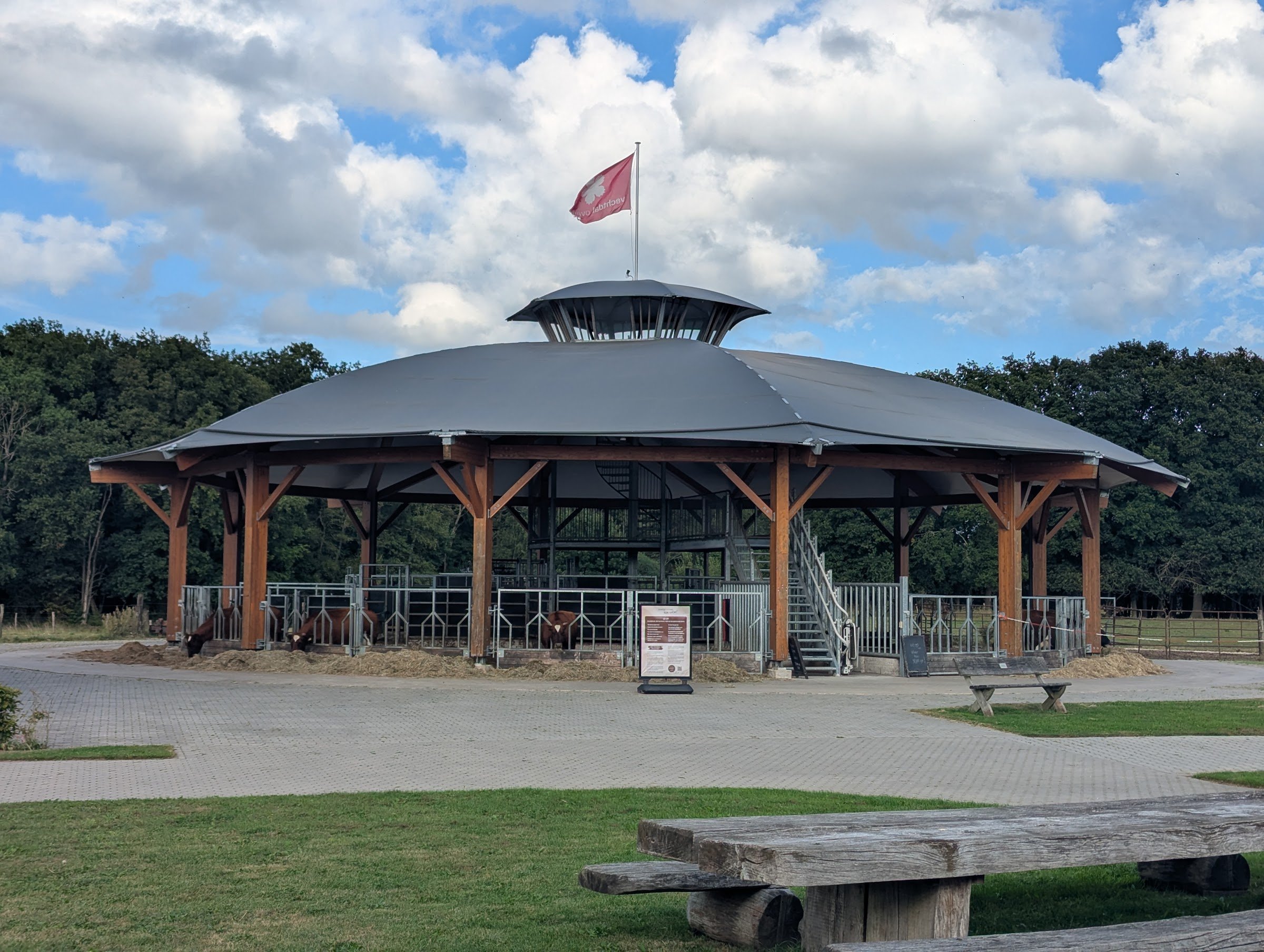 Koe Safari Erve Vechtdal